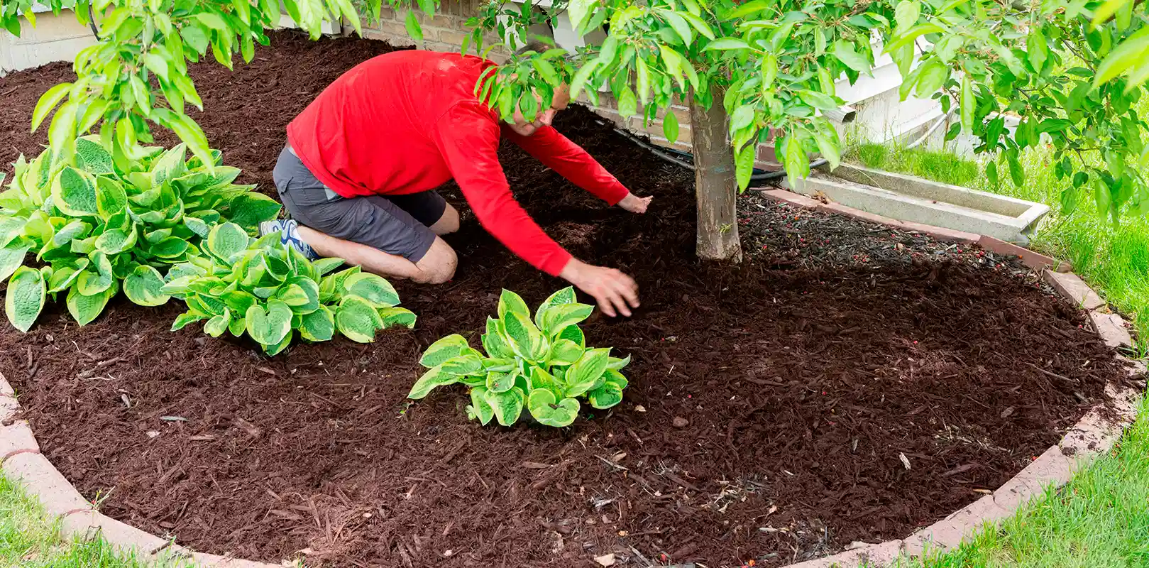 Mulch Installation