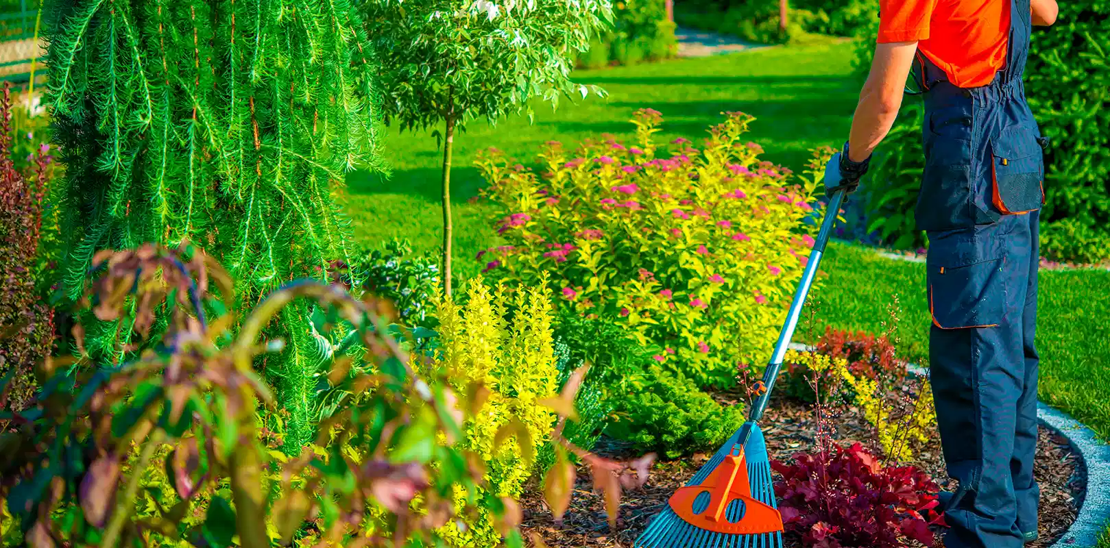 Yard Clean-Up Services